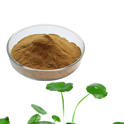 Organic Herb Extract Centella Asiatica Powder Gotu Kola