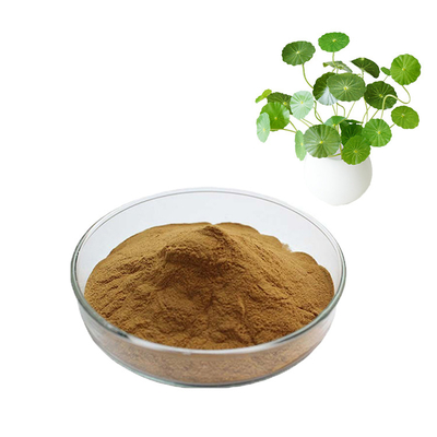 Organic Herb Extract Centella Asiatica Powder Gotu Kola