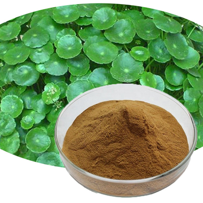 Organic Herb Extract Centella Asiatica Gotu Kola Powder