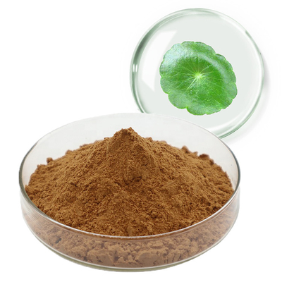 90% Gotu Kola Extract Powder Centella Asiatica Extract Asiaticoside