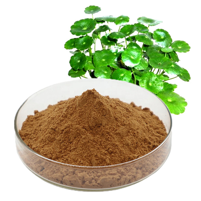 90% Gotu Kola Extract Powder Centella Asiatica Extract Asiaticoside