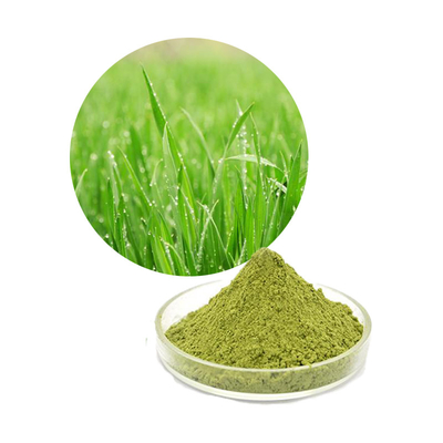 100% Pure Barley Grass Juice Powder Food Grade