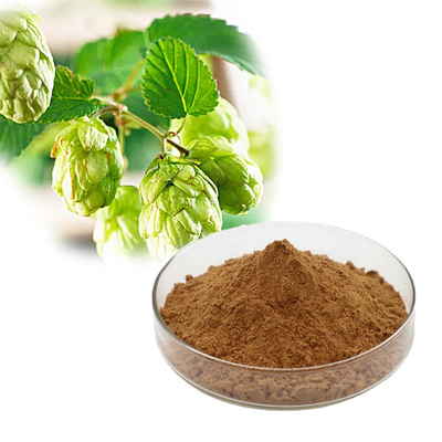 Pure Beer Flowers Extract Dried Powder Humulus Lupulus Extract