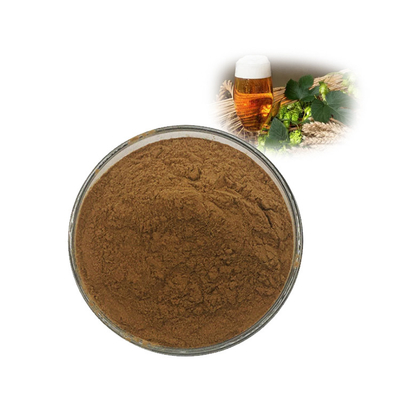 Natural Food Grade Additives Pure Hops Flower Extract 100%