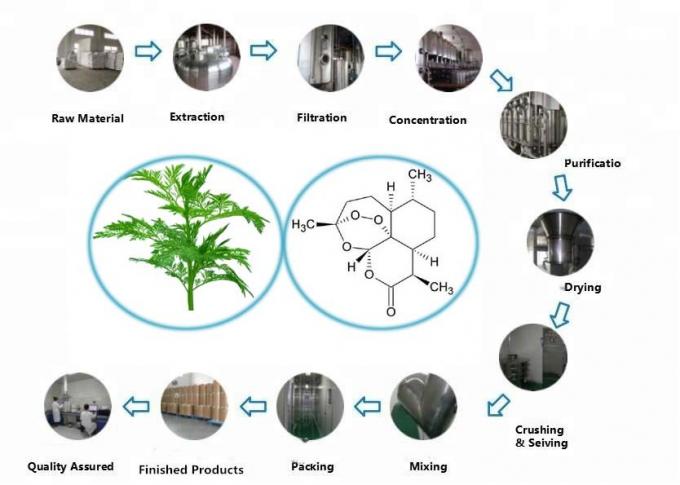 純有機アルテミシア・アヌア抽出物 99% 純度 CAS 63968-64-9 0