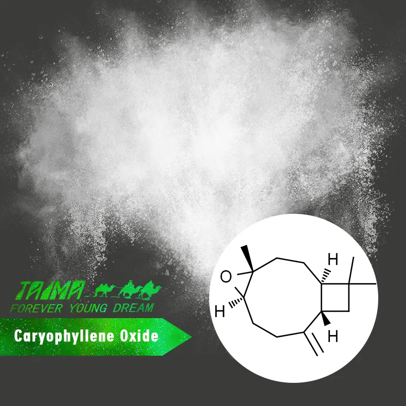 Pure Caryophyllene Oxide Industrial Flavor & Fragrance Ingredient CAS 1139-30-6 1